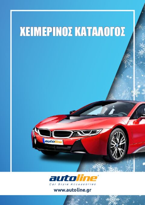 Χειμερινός